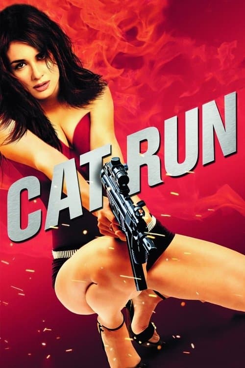 Watch Cat Run 2 - Luganda Translated Movie by Vj Junior