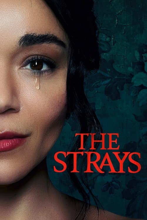 Watch The Strays - Luganda Translated Movie by Vj Ulio