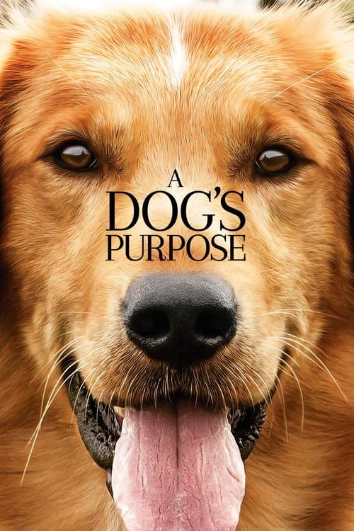 Watch A Dog's Purpose - Luganda Translated Movie by VJ Jimmy