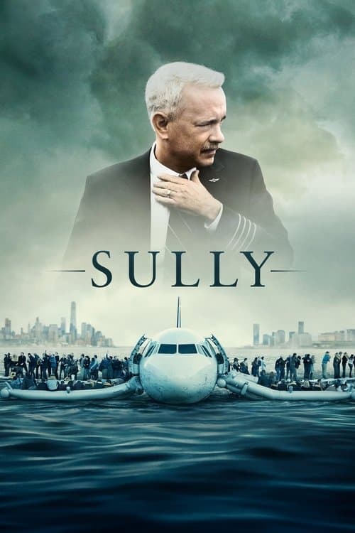 Watch Sully - Luganda Translated Movie by Vj Mark