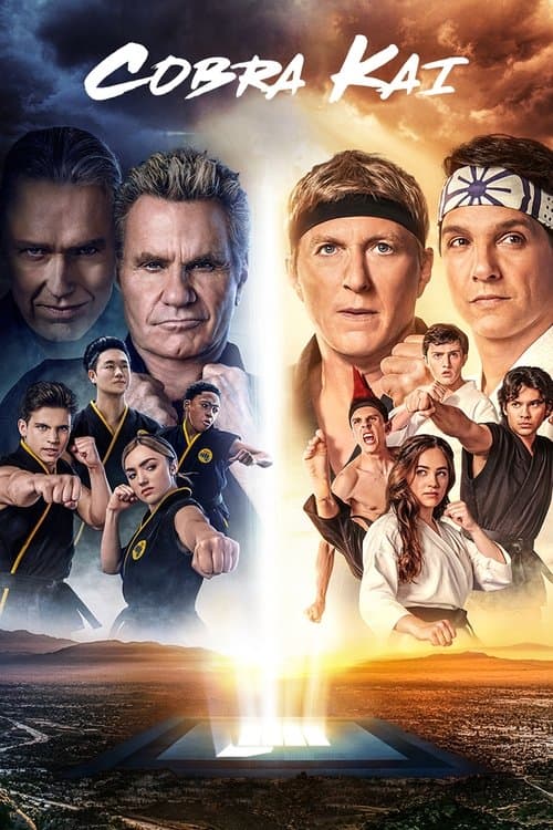 Watch Cobra Kai - Luganda Translated Series by Vj Emmy