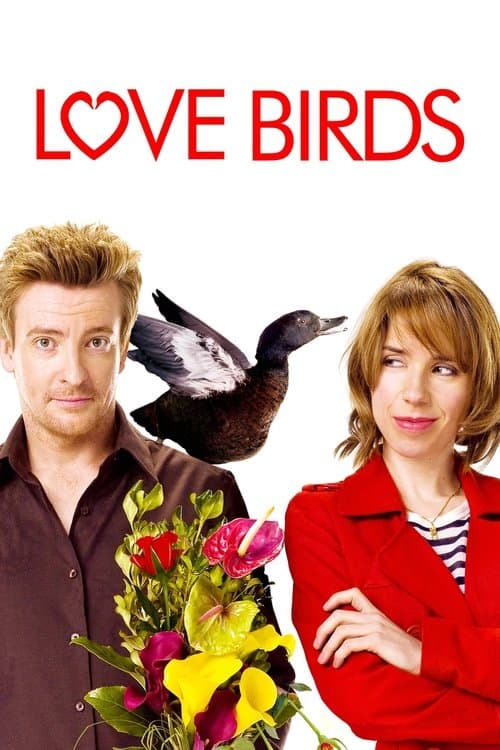 Watch LOVE BIRDS - Luganda Translated Movie by Vj Junior