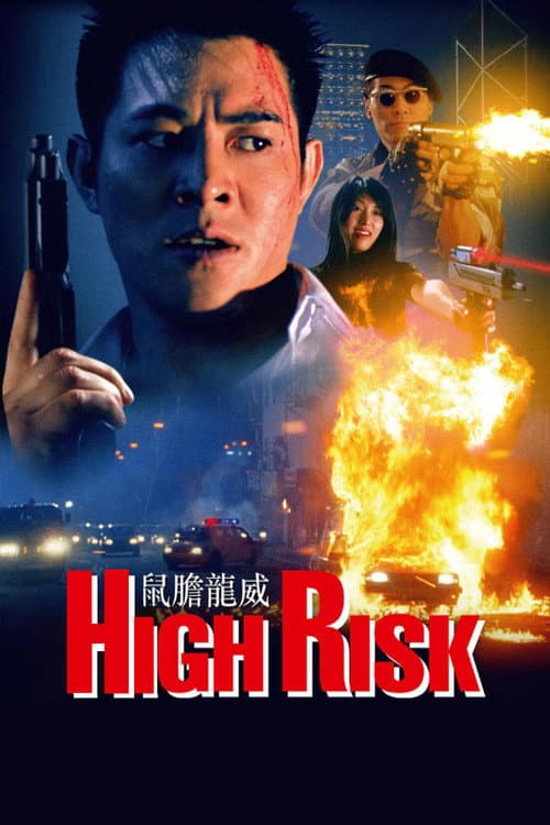 Watch High Risk - Luganda Translated Movie by Vj Emmy