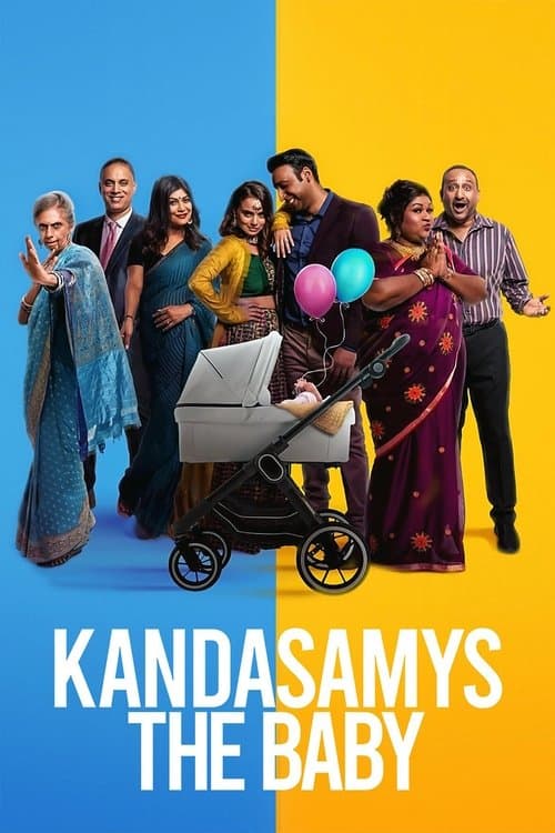 Watch Kandasamys: The Baby - Luganda Translated Movie by Vj Emmy