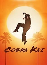 Watch Cobra Ka - Luganda Translated Movie by Vj Emmy