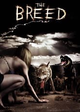 Watch Breed - Luganda Translated Movie by Vj Emmy