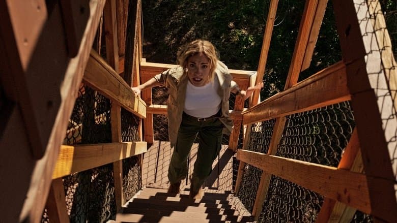 Watch Lookout - Luganda Translated Movie by Vj Soul