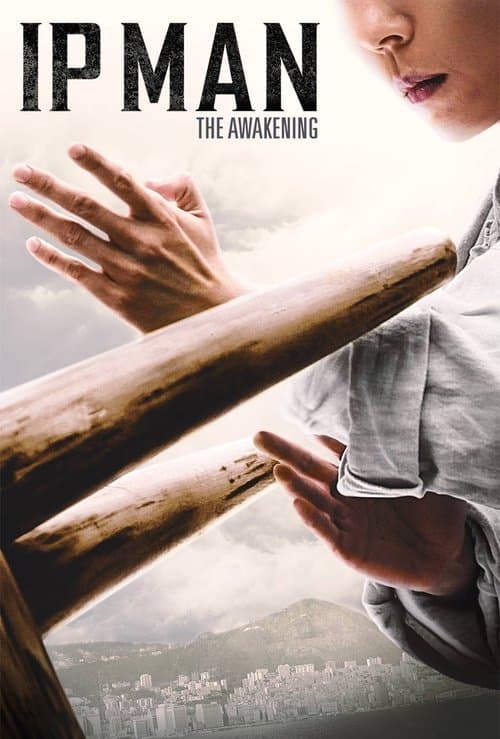Watch Ip Man The Awakening - Luganda Translated Movie by Vj Emmy