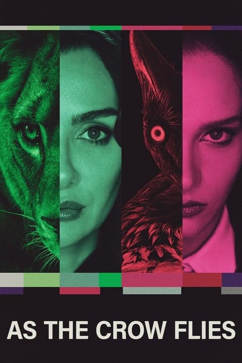 Watch As the Crow Flies - Luganda Translated Series by Vj Kam