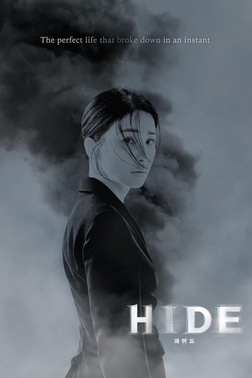 Watch Hide - Luganda Translated Series by Vj KS